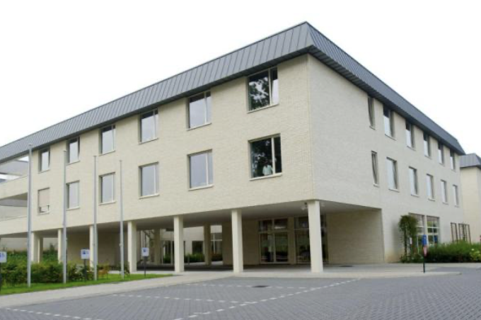 Zilverlinde — photo 1